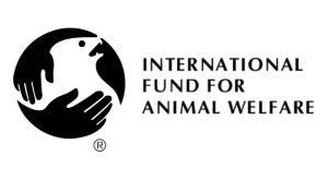 ifaw-solutions-8.jpg